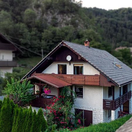 Отель Alp House Бохиньска-Бела Экстерьер фото