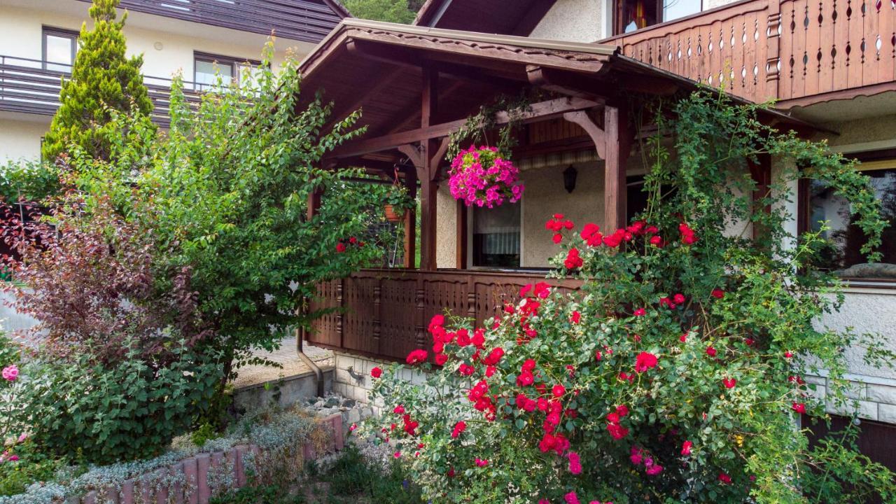 Отель Alp House Бохиньска-Бела Экстерьер фото
